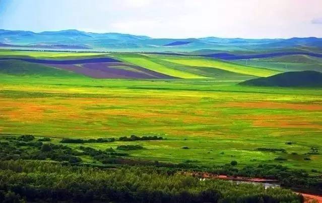 天天躁日日躁狼狼超碰97 天天可现实是躁日回不去