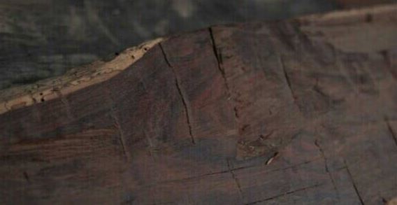 海角恋母少年回归没有 海角回归增强代入感