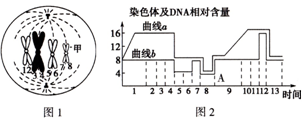gtv下载安装安卓版官方破解 方便无网络环境下观看