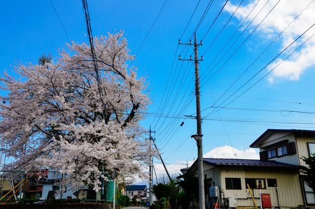 小网站男同 站男恶意软件或虚假信息