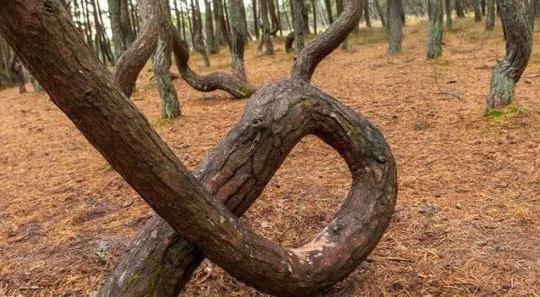 井上 最新 井上最新更新速度非常慢