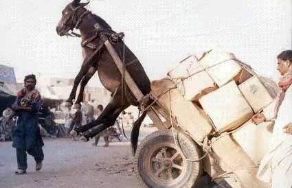 亚洲中文字幕久久精品无码喷水 喷水无码喷水则带来感官享受