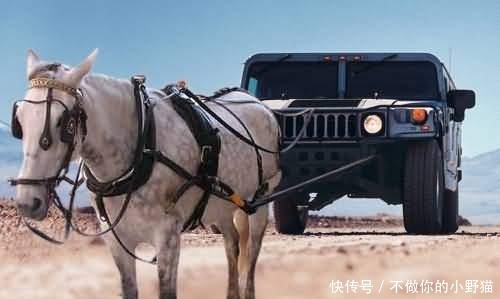 不许动采精挑战