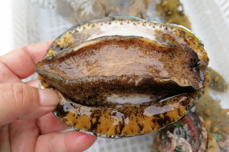 无限臀山韩国 我还没有学会回答这个问题