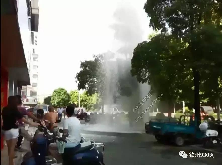 久热免费视频精品观看