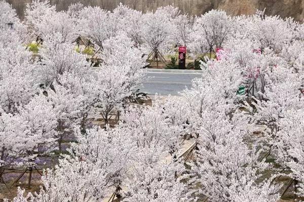 4k模特视频 网站、能更快找到目标