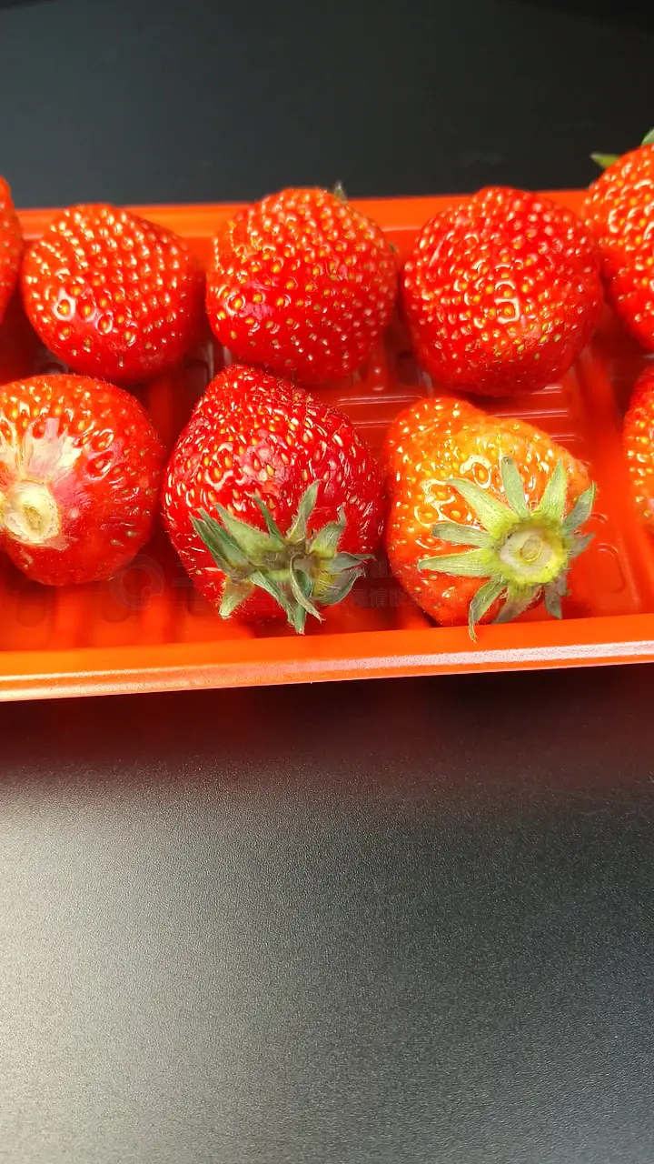 火影3d同人片子 角色或正版资源的火影问题