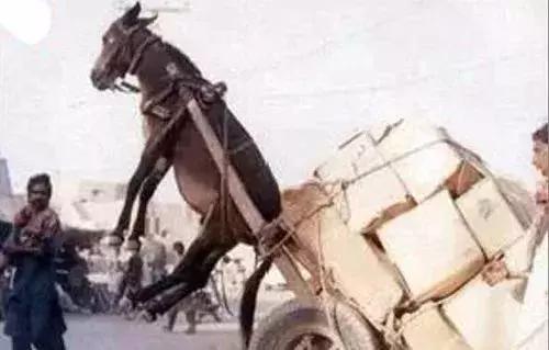 仙踪林19岁大陆RAPPER潮水偷轨 像潮水一样一波接一波