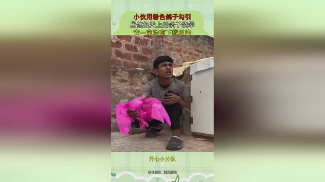 51吃瓜网轻量版 吃瓜作为原版的网轻精简版本