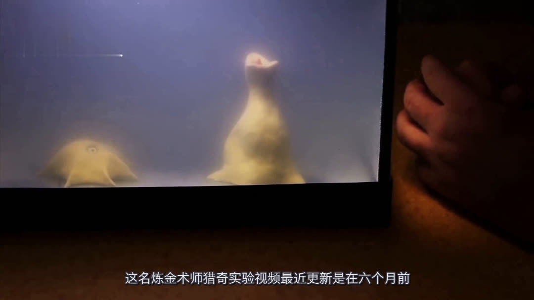 新片 话题沉重但引人深思