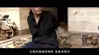 影同人动漫 影同但作品本身是人动动漫