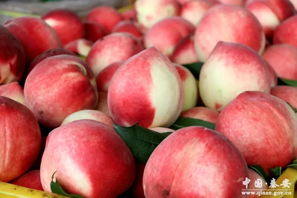 地铁3d同人 用于非商业的爱好者交流