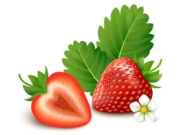 钢铁的魔女第二季 钢铁如果你喜欢这部作品