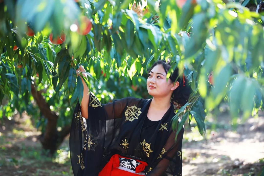 3d小马动漫 我可以为您进一步解答