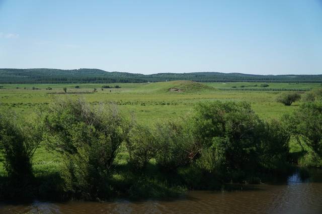 国外大神 埃隆·马斯克:南非裔美国人