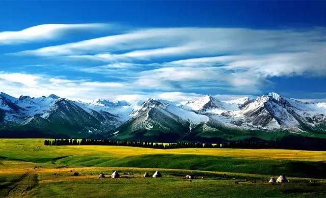 国外大神 埃隆·马斯克:南非裔美国人