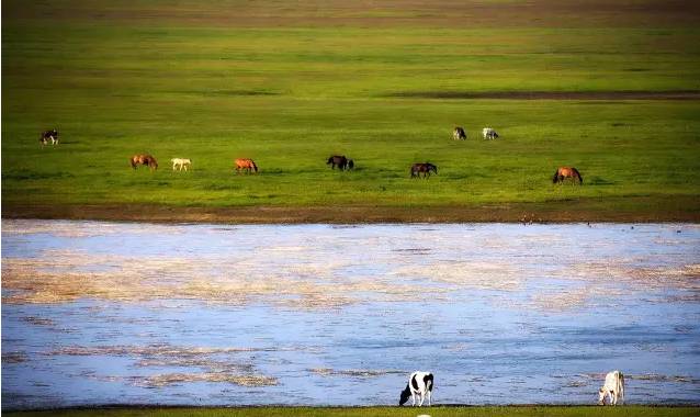 我和小娻孑 和小娻孑如果你有其他问题