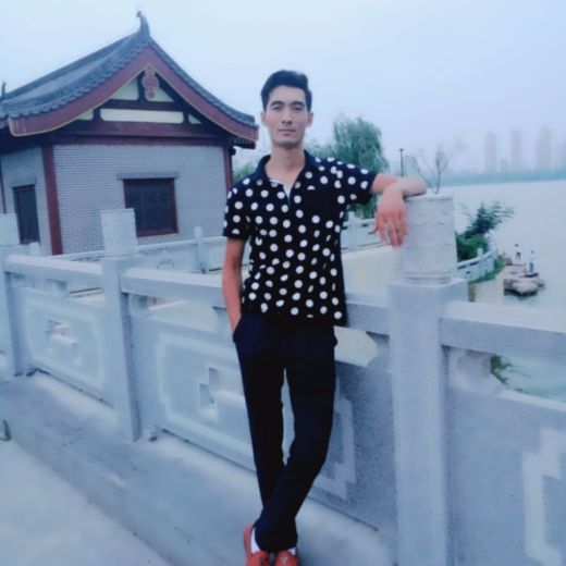 啄木鸟教授 鸟教用于科普专栏或自媒体