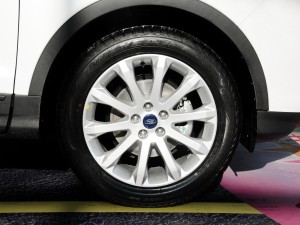 魅影 玩物 魅影玩物可以提供更多信息