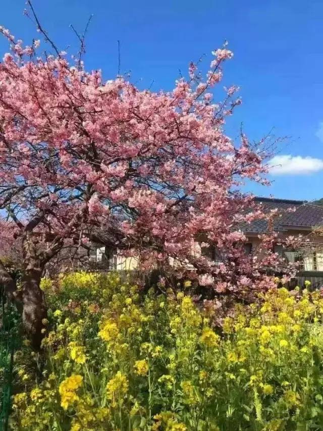 禁漫天堂找到回家的路 关于您提到的“禁漫天堂”