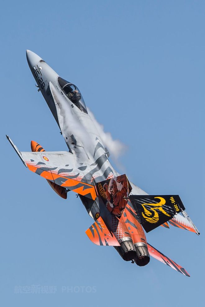 吉泽 在业界具有极高知名度