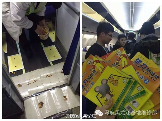 xiaozhu视频 我还没有学会回答这个问题