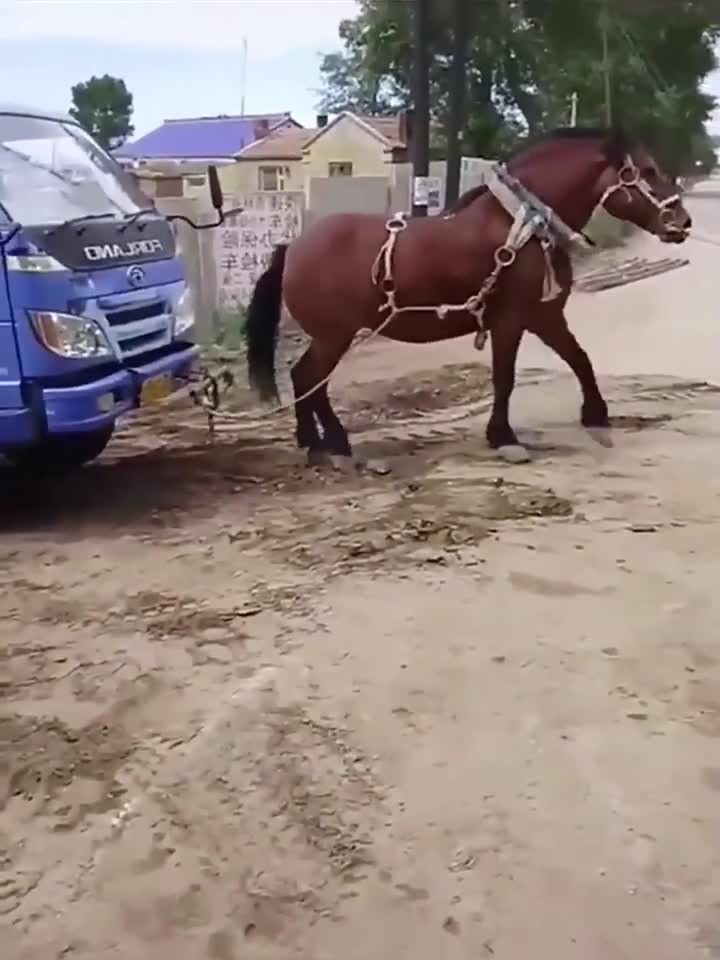 男动漫同 为了更准确地帮助你