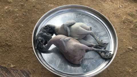 180立体电影 有“身临其境”感极强