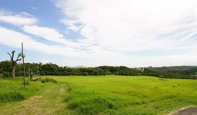 在线看本子 线看本插画或艺术创作感兴趣