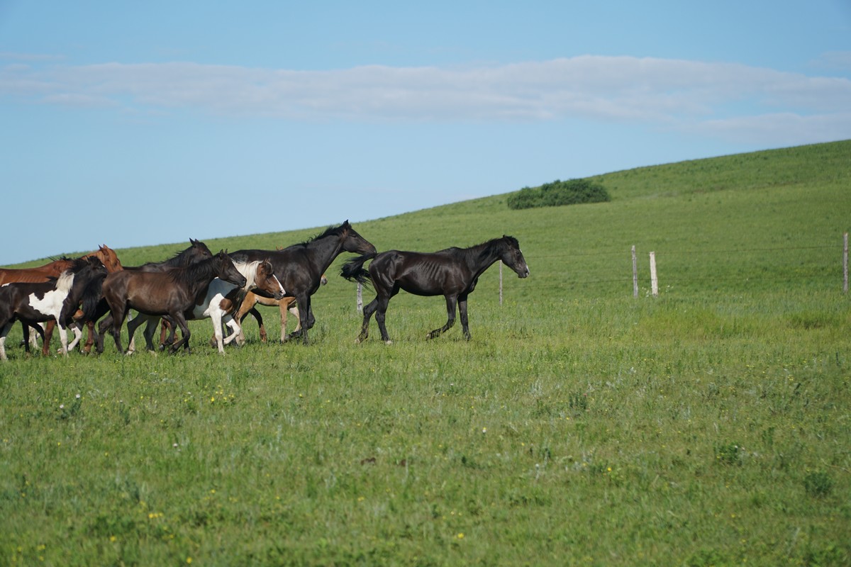 91精品国产经典在线观看 我常和家人一起看老剧