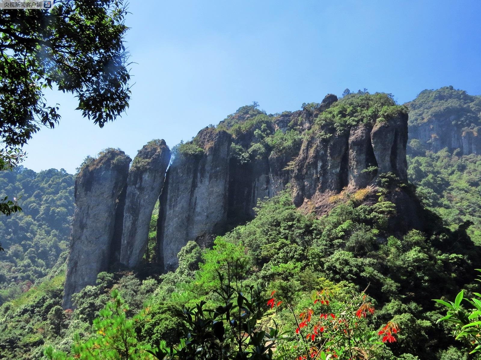 (marumai在线 由于安全和信息准确性的考虑