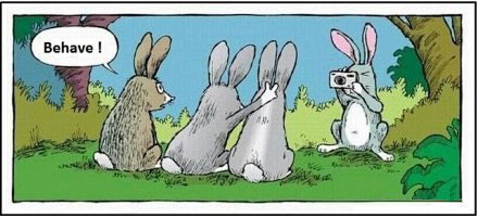 可以观看正太视频的网站