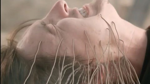 男男剧情 《月光男孩》(美国