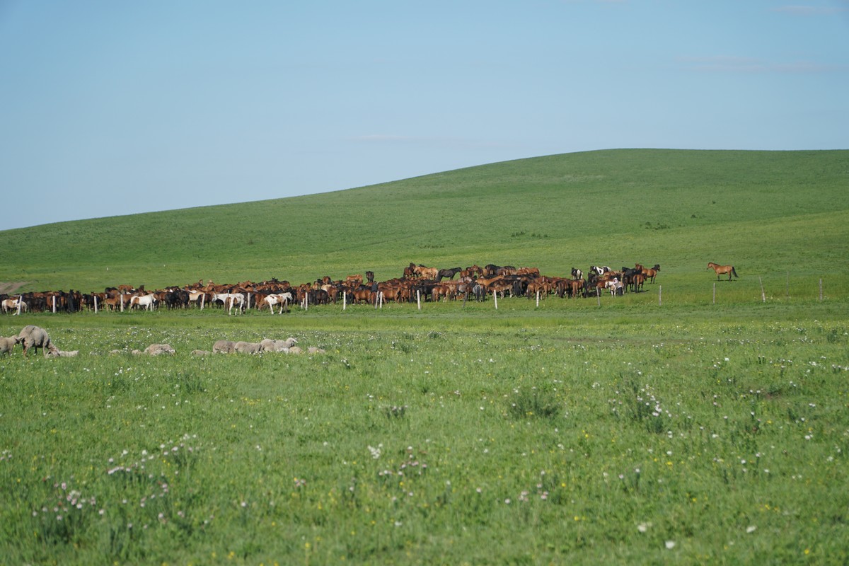 影片社 3. 泛指电影产业或领域有时