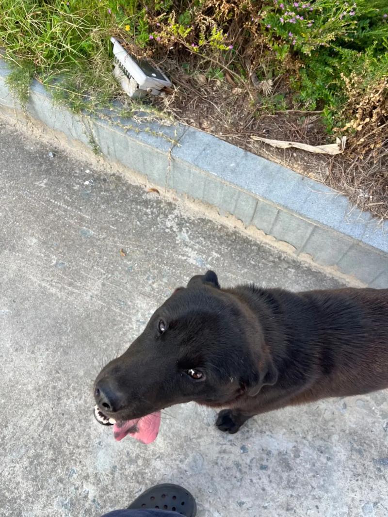 床上视频暗网 我还没有学会回答这个问题