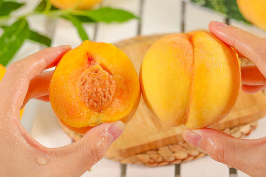 精东传媒2021精品密友