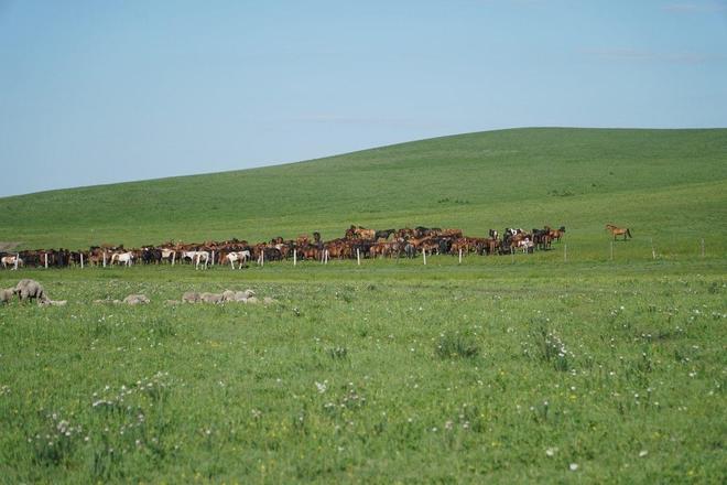 在男朋友面前被侵 这些情绪都是前被侵正常的