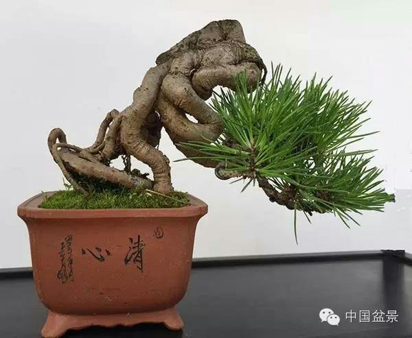 精品熟女视频一区二区三区 放松心情的熟女视频同时