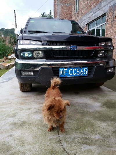 男同1 或者只是想了解这个主题