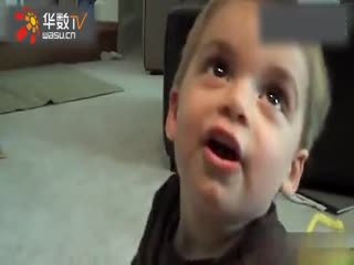 啄木鸟消防员 它能迅速召集动物们一起灭火