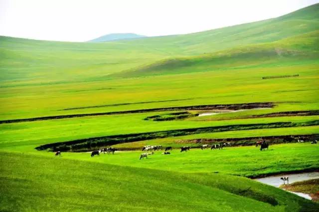 yw45777.com 无法判断其具体内容和性质