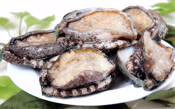 黑料社今日不打烊 部分领域内容深度不足