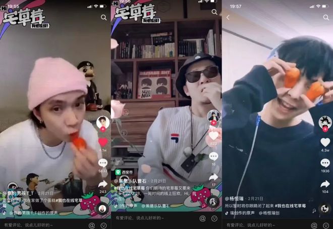 啄木鸟记者 企业违法等公共议题