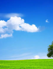 小妻太水嫩陆教授花式宠免费阅读 小说 教授主角设定太抓人了