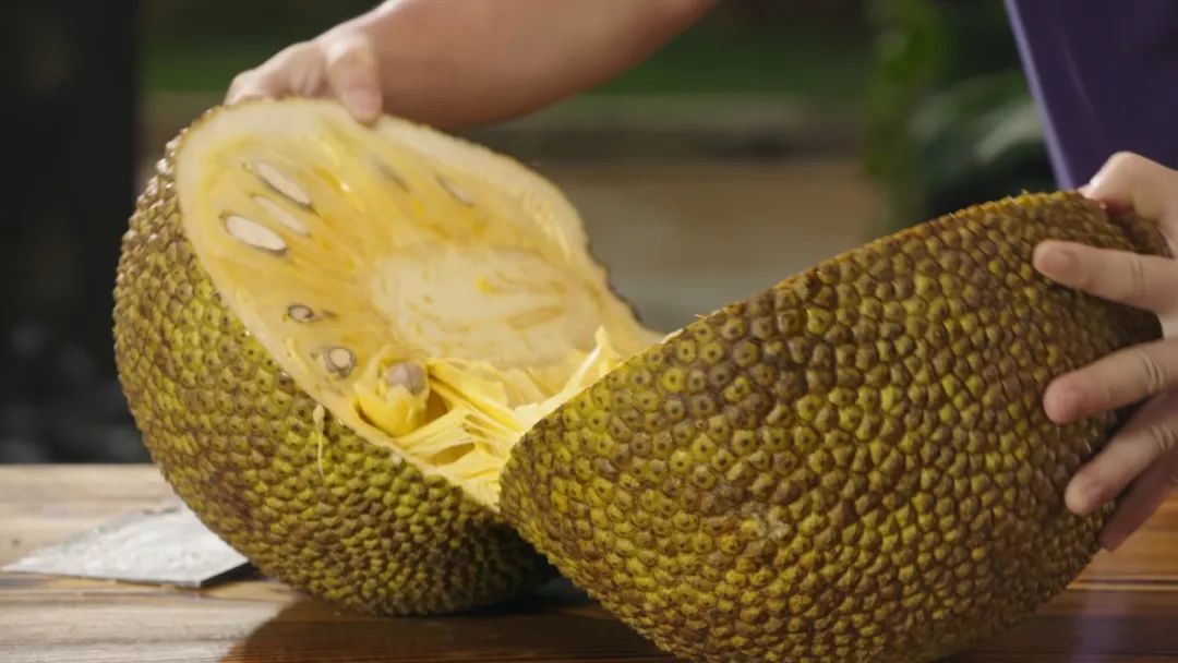 国内精品久久久久久久久久免费