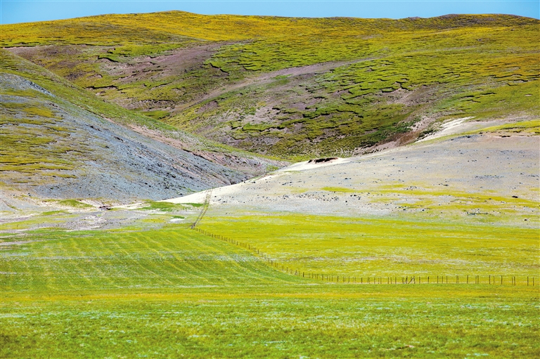 中文字幕乱偷无码AV蜜桃 中文字幕点进去电脑手机中招