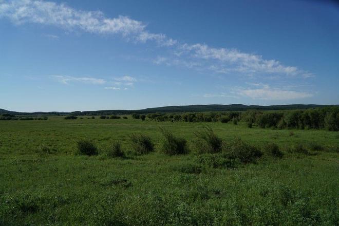 中文字幕乱偷无码AV蜜桃 中文字幕点进去电脑手机中招