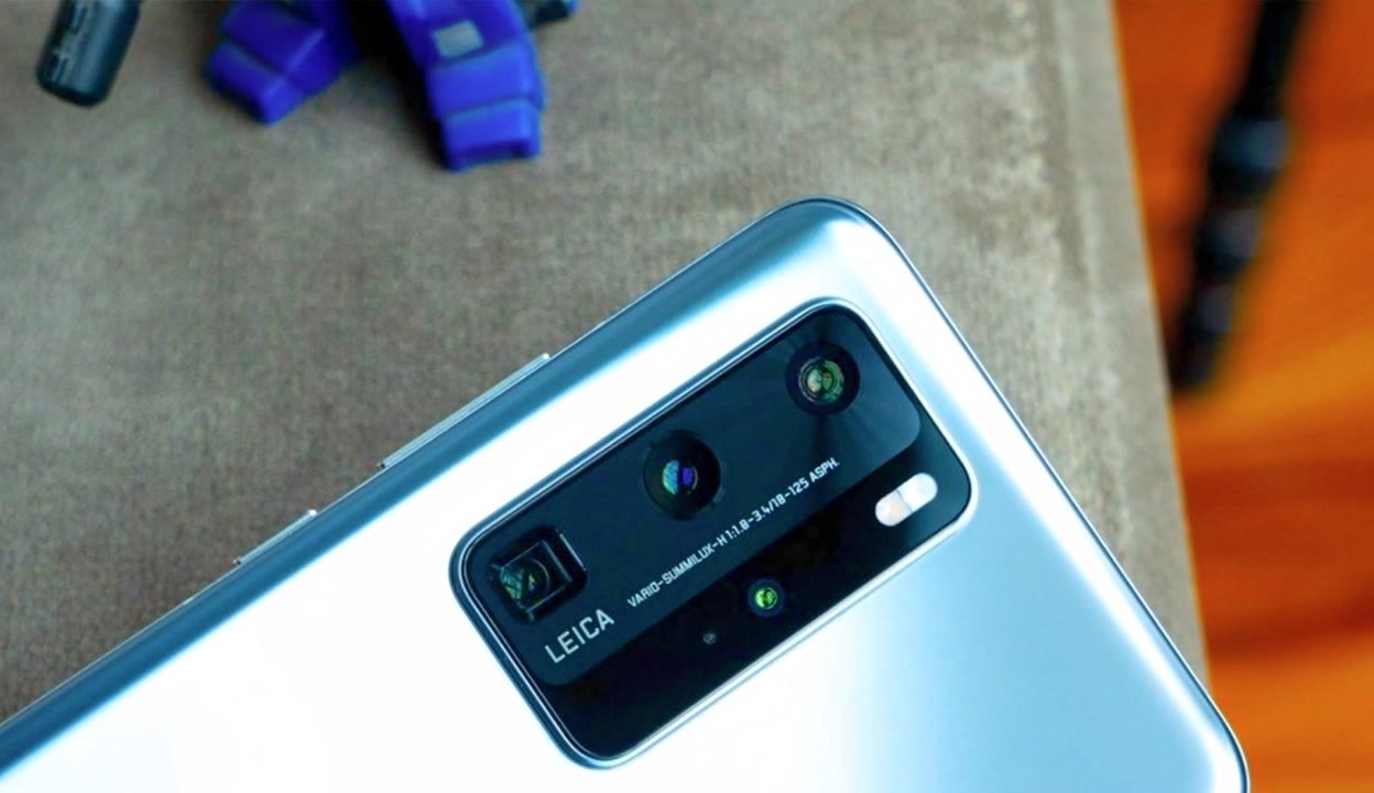 （困困狗 困困狗甚至给狗狗起名字）