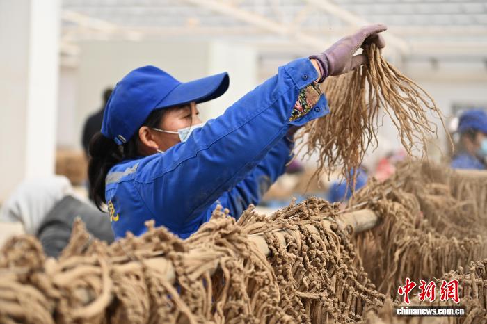牛阅网轿门吟 牛阅牛阅阅尽沧桑志未酬