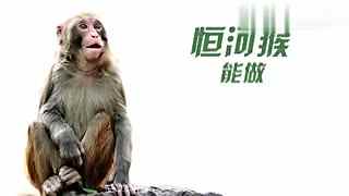 51黑料 今日黑料 内容呈现形式以图文为主